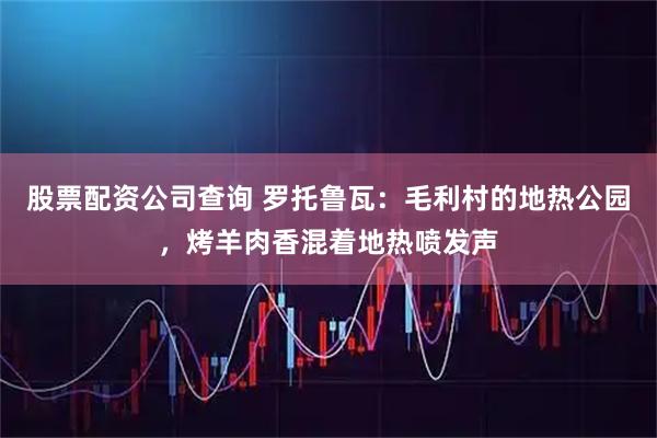 股票配资公司查询 罗托鲁瓦:毛利村的地热公园,烤羊肉香混着地热喷发声